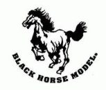 Black Horse RC Flugmodelle
